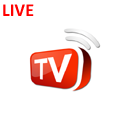 DFLIX copy